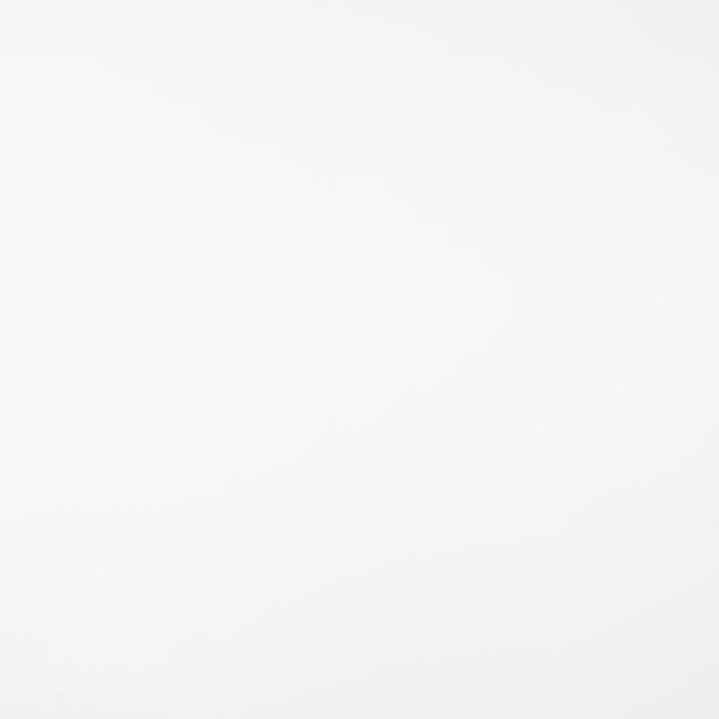 Solid white background with no visible objects or patterns